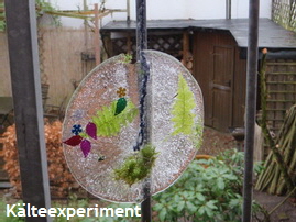 2019_Kälteexperiment 2019_Kälteexperiment